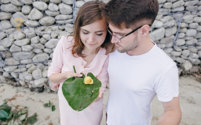 Would You Rather Questions Couples for Personal Growth